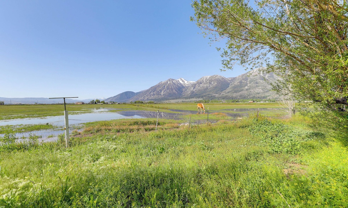 Gardnerville House | 11 Mi to Heavenly Mtn Resort: Getaway w/Mtn Views