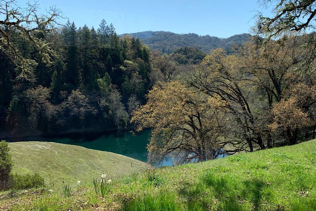 Ukiah Cottage | 113 m² Cottage ∙ 2 bedrooms ∙ 5 guests
