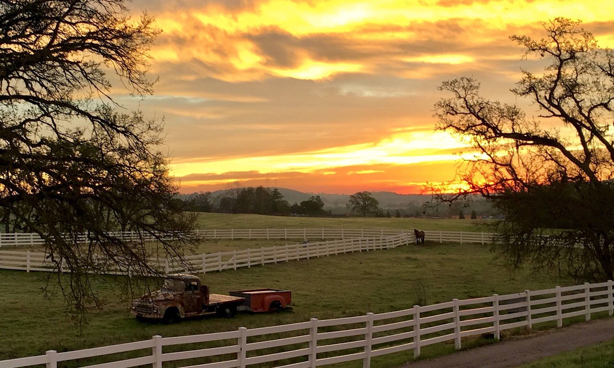 Templeton House | 46W/Winery close, Bocce! Perfect for 1 couple, multi-adult, family! Dog Friendly