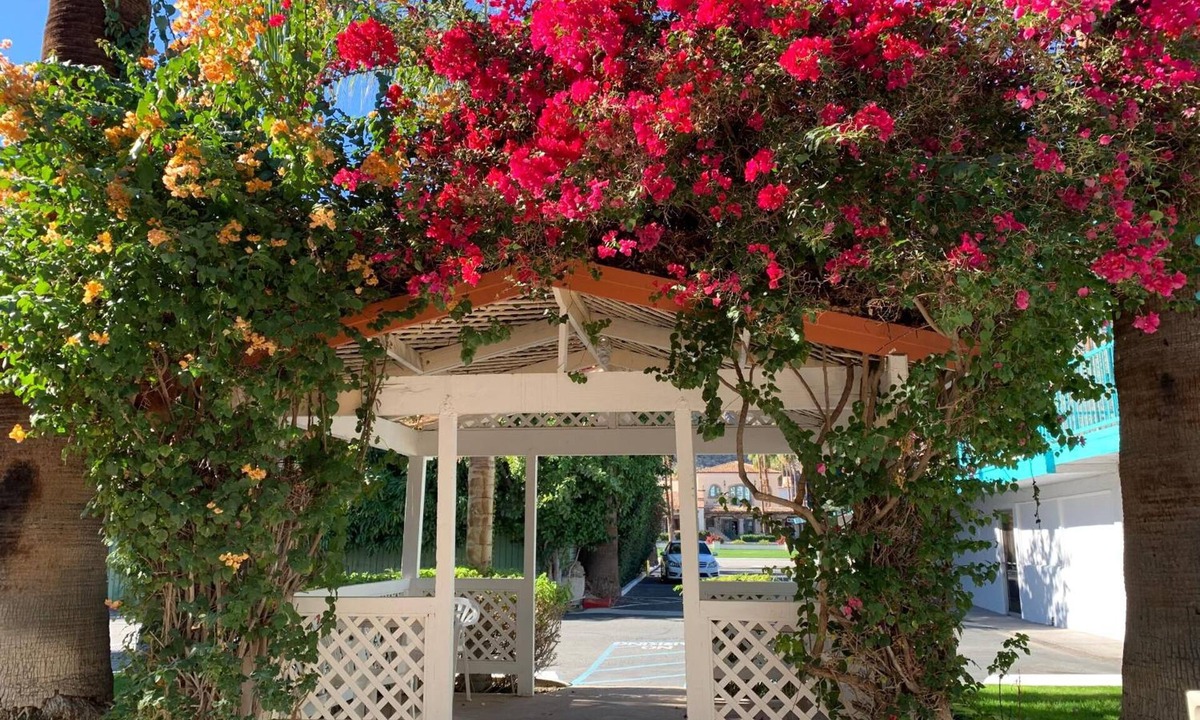 Tahquitz River Estates Hotel | Adara Hotel Palm Springs