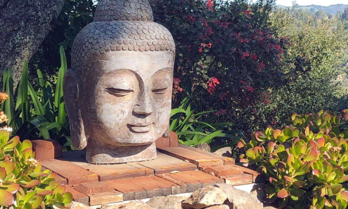 Lost Valley House | Art-Filled ORINDA ZEN Retreat. BREATHTAKING VIEWS! Minutes to BART, SAN FRANCISC