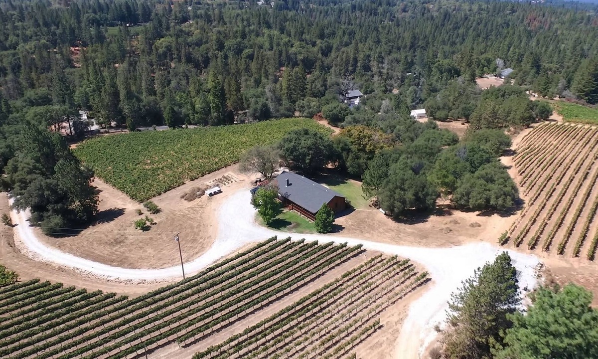 Fair Play Cabin | Beautiful Cabin at V5 Vineyards