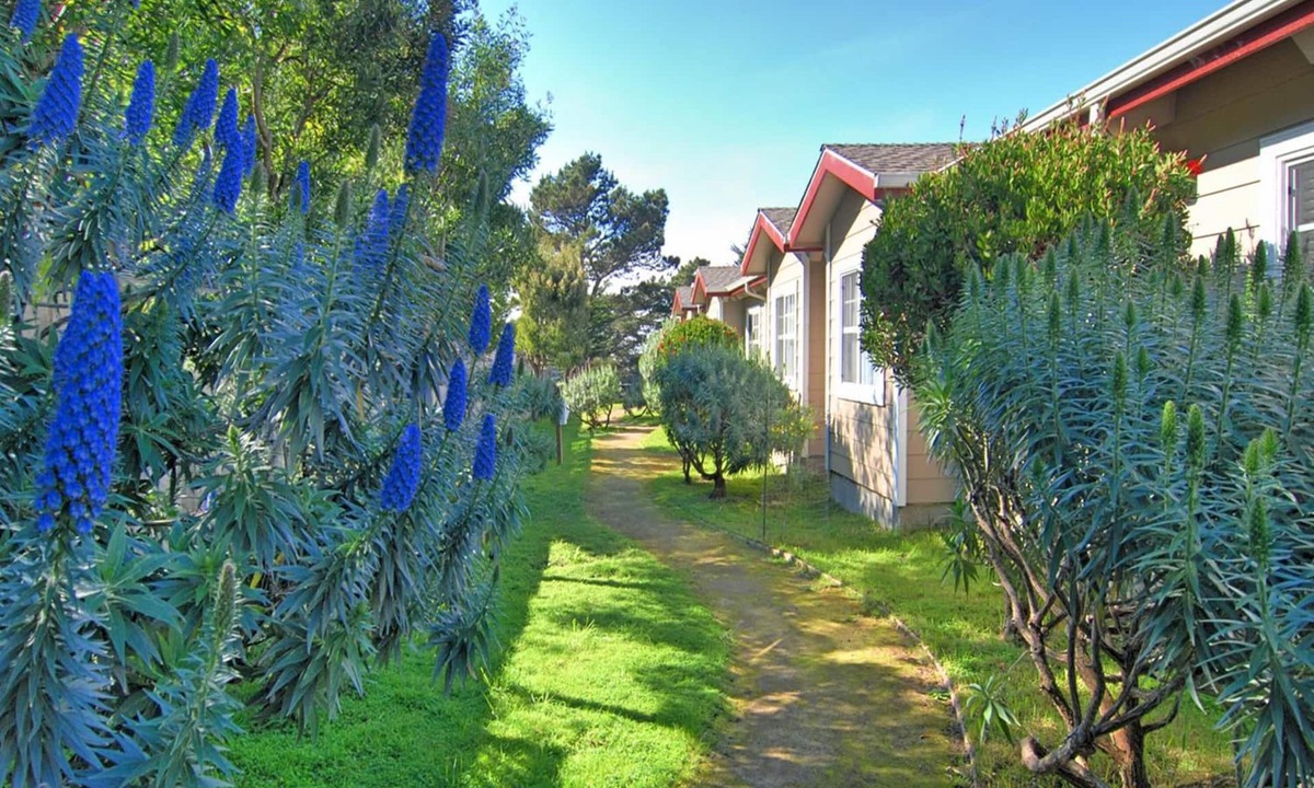 Pacific Grove Hotel | Bide-A-Wee Inn