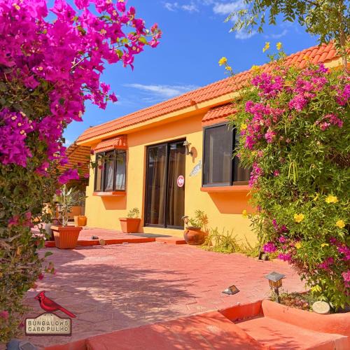 Cabo Pulmo Other | Bungalows Cabo Pulmo