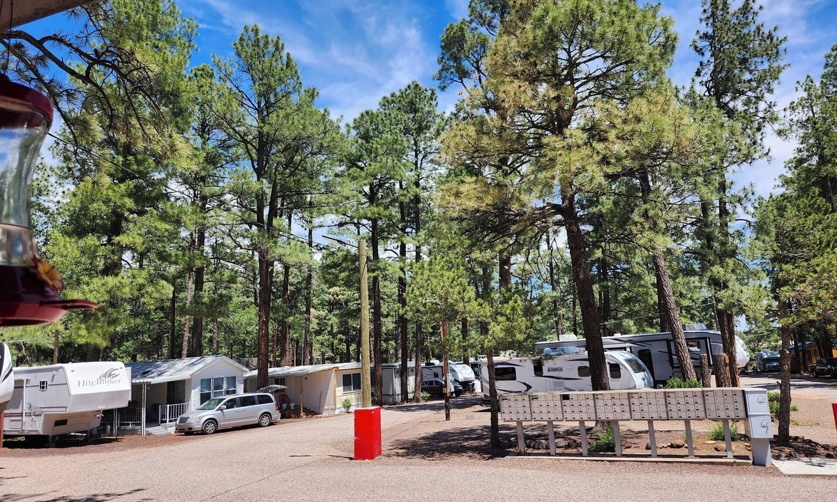 Show Low Cabin | Charming cabin with WIFI and AC in delightful Show Low Minimum 2 night stay.