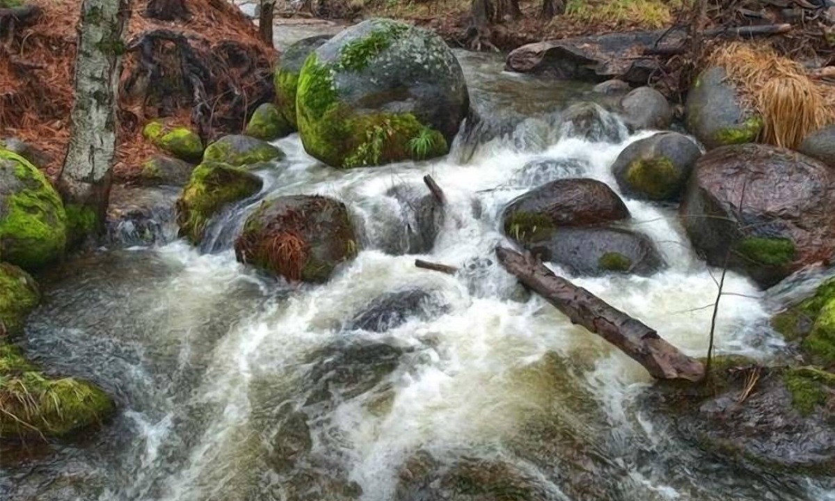 Oakhurst House | Charming house near Yosemite with a Creek