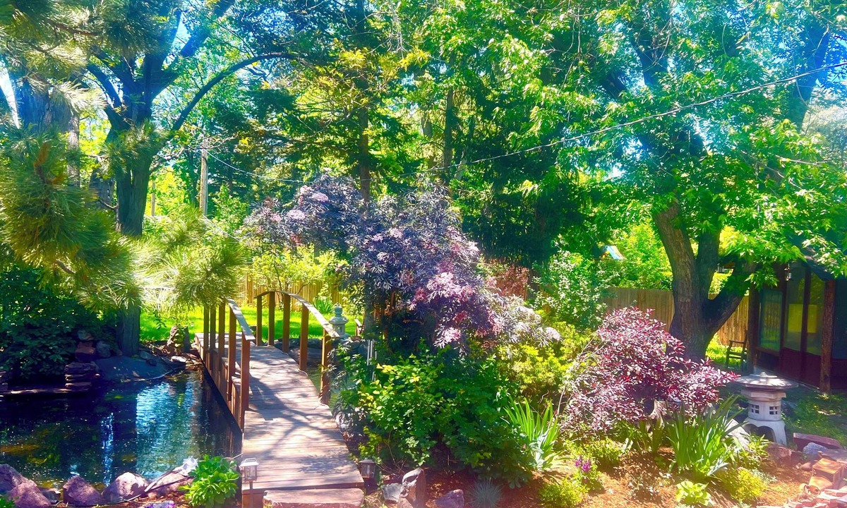 Martin Acres House | Charming, serene, eclectic 4brm/2.5 ba., mnt. views, lrg yard on multi-use path