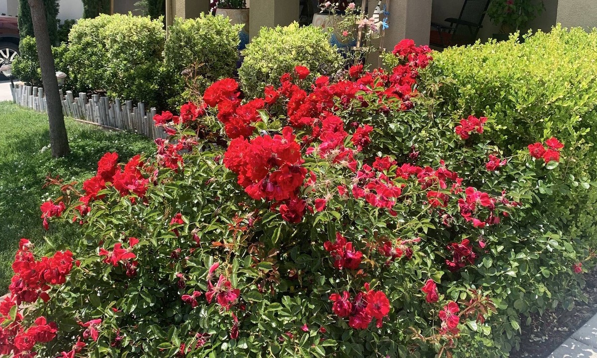 El Dorado Hills House | Close for all the winter recreation~skiing, snowmobiling, hiking, archery