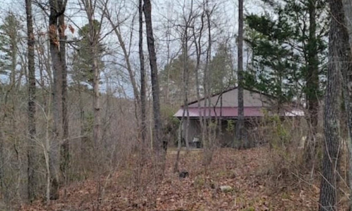 Montier Cabin | Collier Cabin in Pine Hollow ~ Eminence, MO
