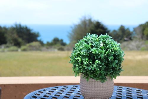 Gualala House | Cozy Getaway with Ocean View and Private Entrance!