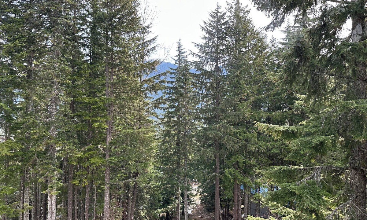 Hyak House | Delightful 4-bedroom Mountain Cabin in Snoqualmie Pass for your getaway.