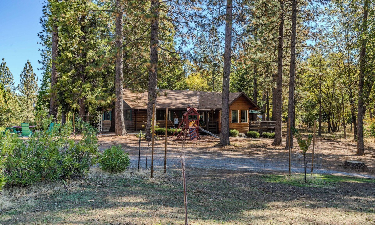 West Point Cabin | Family & Dog friendly Fenced 5Acr: Pool Table, Playground, Firepit, BBQ, Starlnk