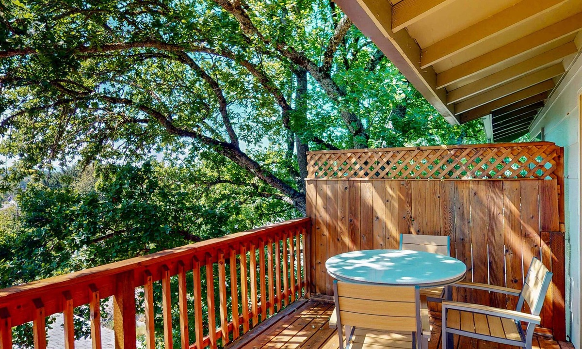 Amazon Condo | Full duplex with patio-deck, mountain views, washer&dryer, dogs allowed