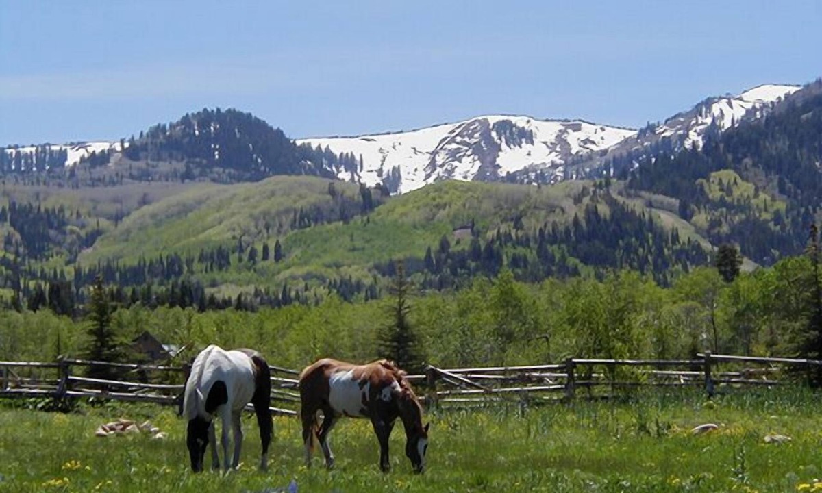 Park City Ski Chalet | Gorgeous Mountain View from This Remodeled Red Pine Condo