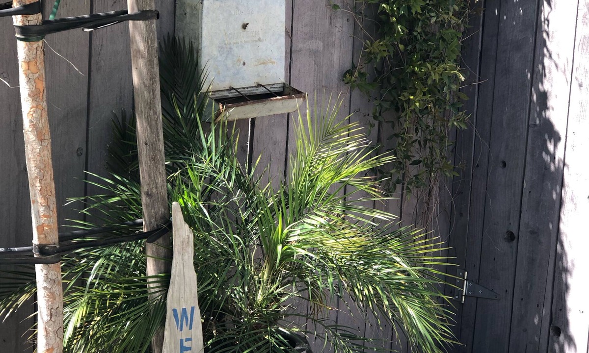 Folsom Apartment | Historic Folsom 2 Bedroom - 1 Bath