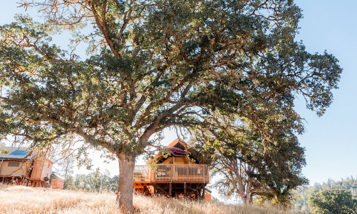 Lower Lake Other | Huttopia Wine Country-Northern California