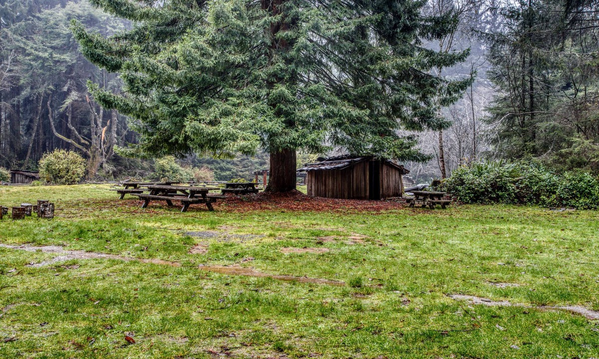 McKinleyville House | Inviting house w/a quiet yard to relax in & BBQ - close to beaches and redwoods