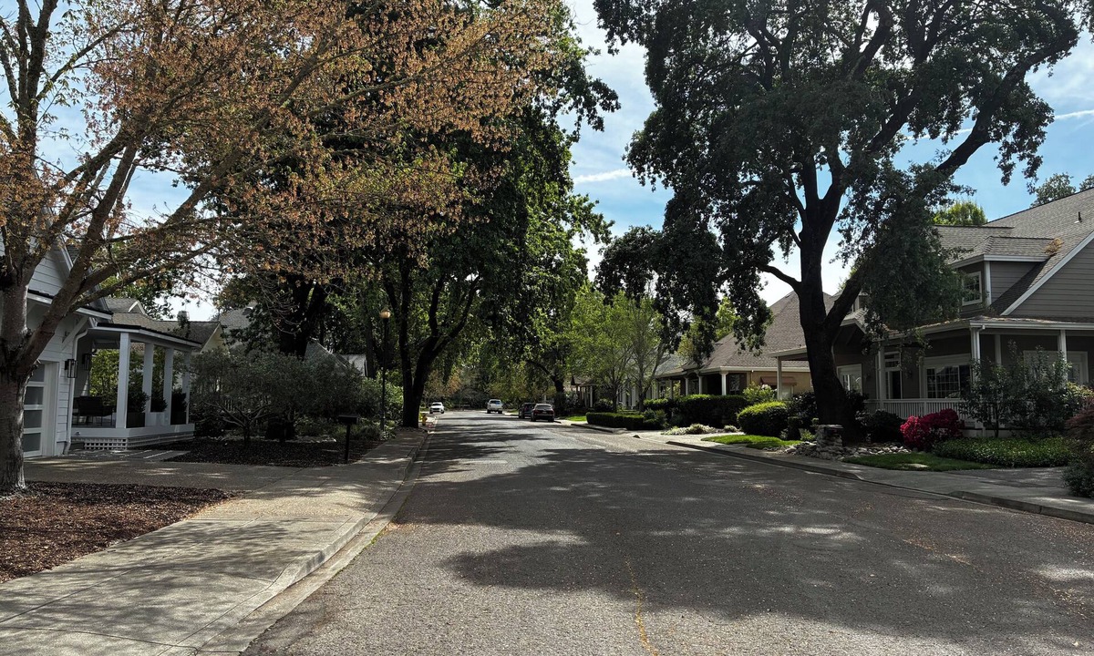 St. Helena House | July in the Napa Valley