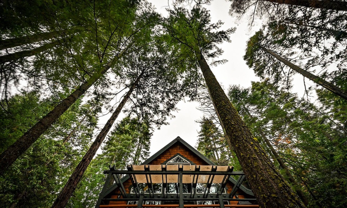 Shingletown Cabin | Lassen Creekside Cabin, 9 Miles to Park, Fire Pit, Level 2 EV Charger, Pets!