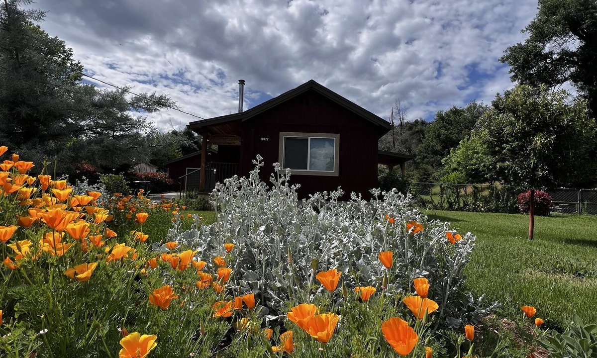 Shasta Cabin | Little Red House Cute, Cozy, Rustic Home in Historic Shasta Whiskeytown Lake