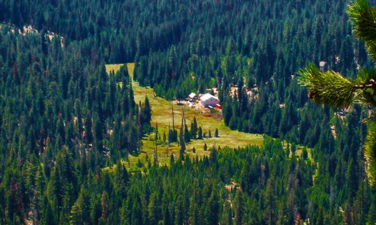 Ponderosa Cabin | Located on 15 Beautiful Acres on Kramer Meadow,Ponderosa, Very Private