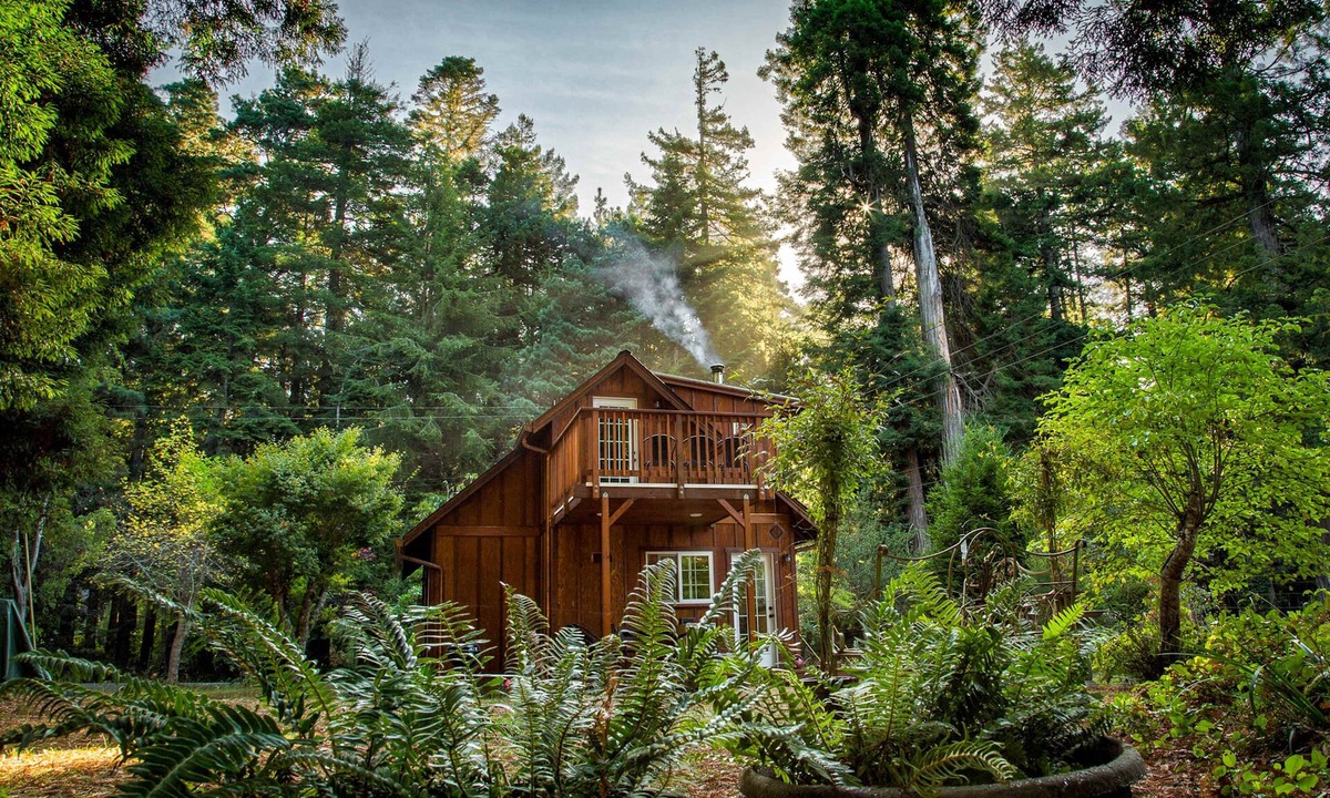Fort Bragg Cabin | Magical Redwood Getaway-Outdoor Tub & Dog-Friendly
