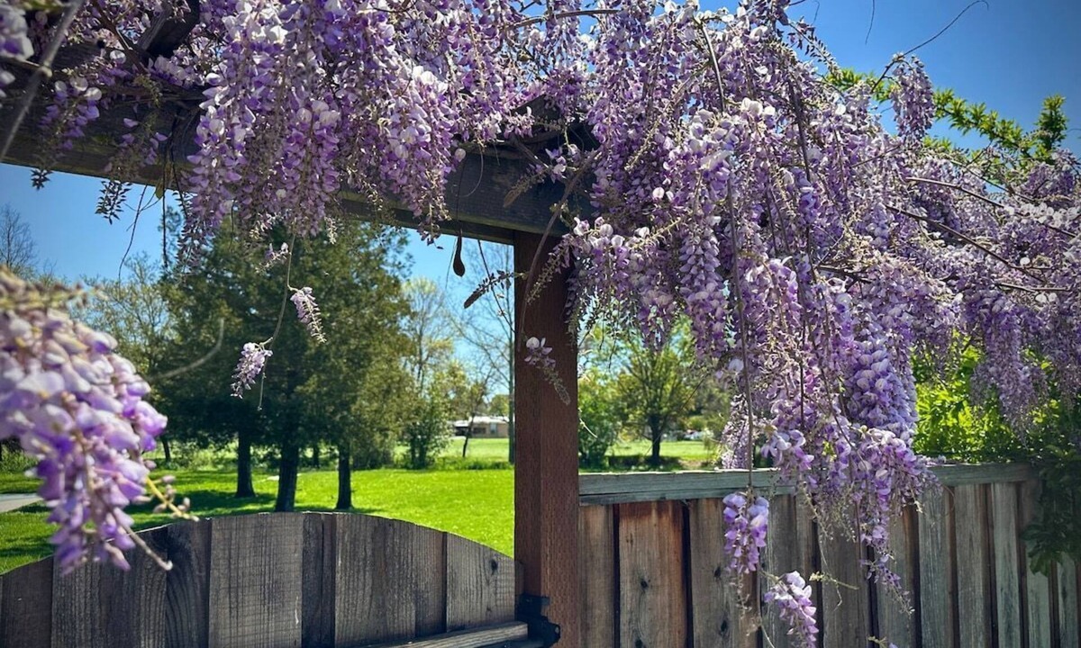North Junior College Neighborhood Association House | Major Dr. · Stylish-Quiet-Spa&Pool-WiFi-Wine Country Getaway!