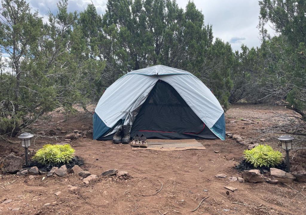 Springerville Other | Nevado Ranch Camp