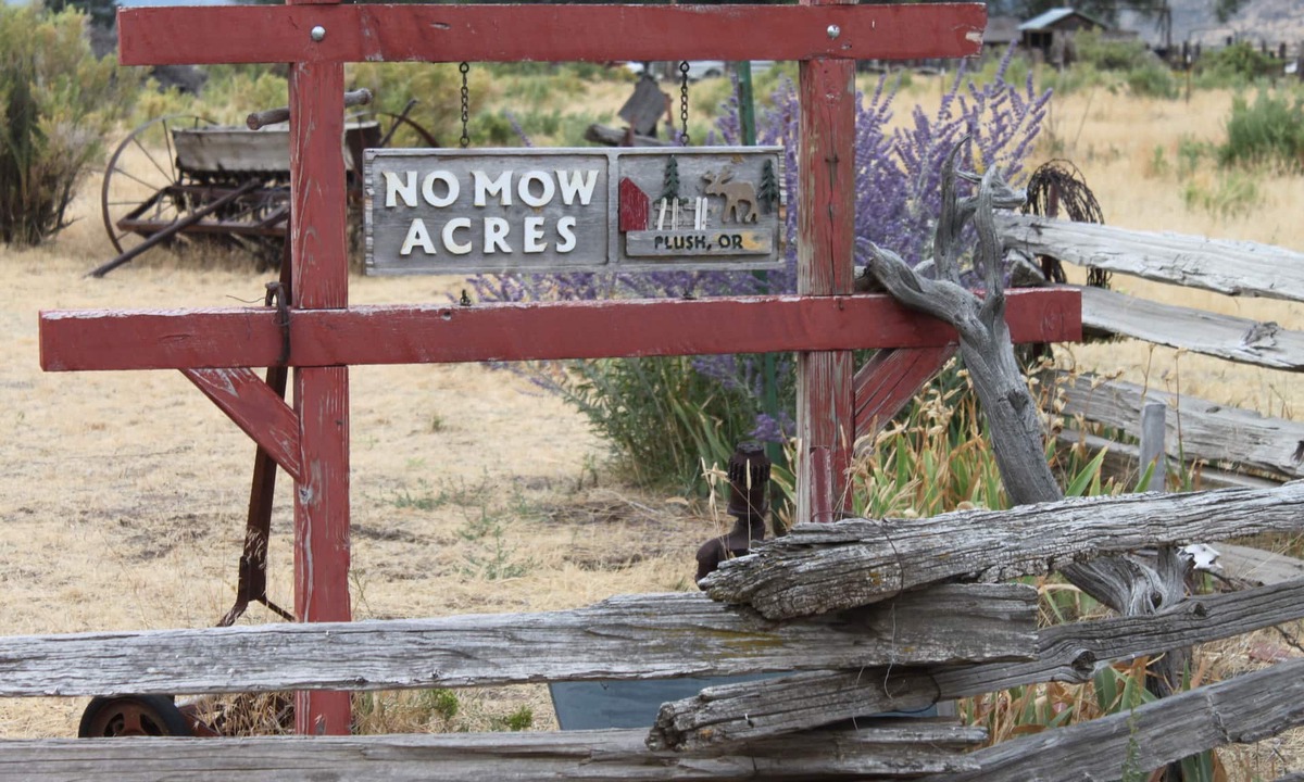 Plush House | No Mow Acres /Located in the Oregon High Desert