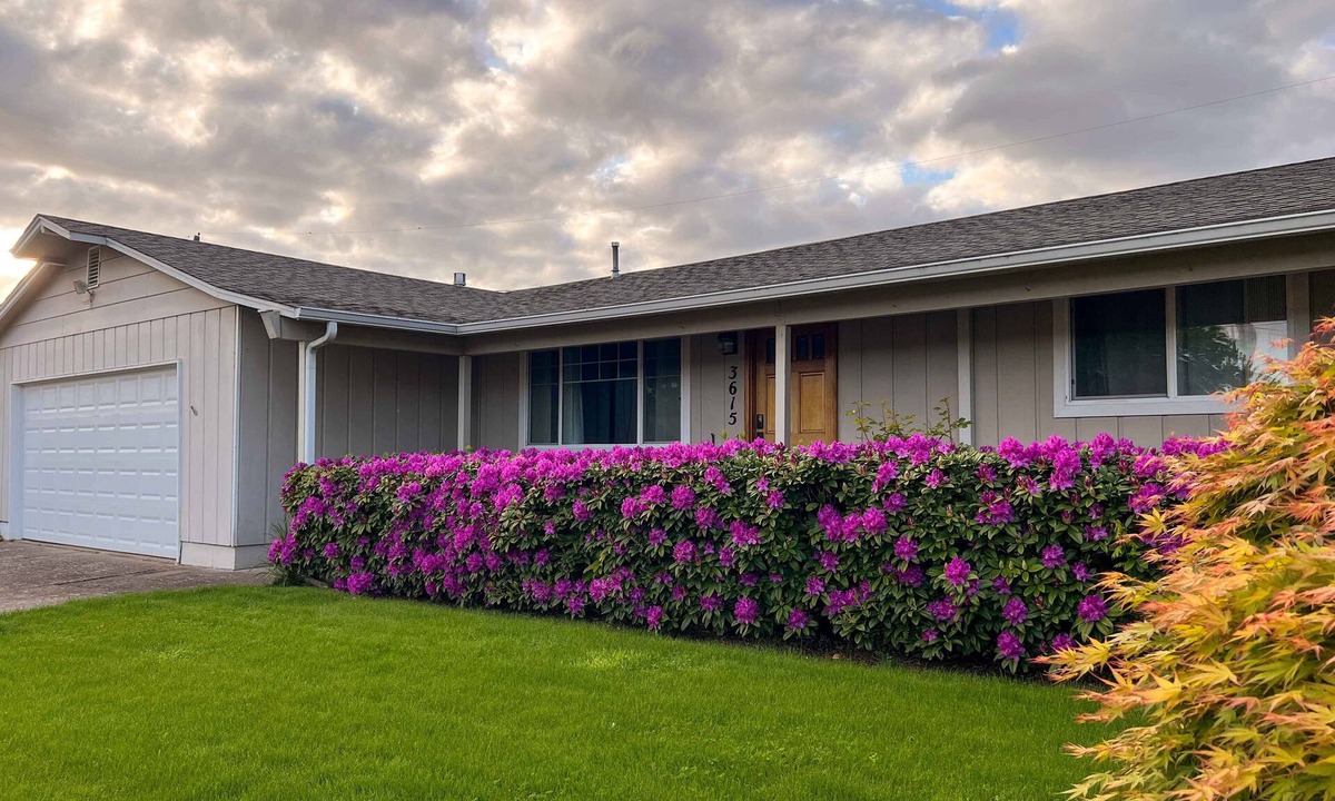 Harlow House | Outdoor Living and Indoor Bar - Entire house - walk to Autzen Stadium