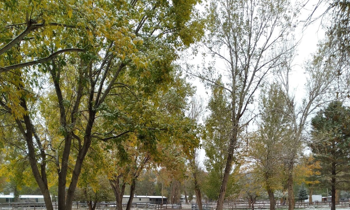 Beaver RV Rental | Park your RV in a 1 acre yard where mule deer and wild turkeys roam daily.