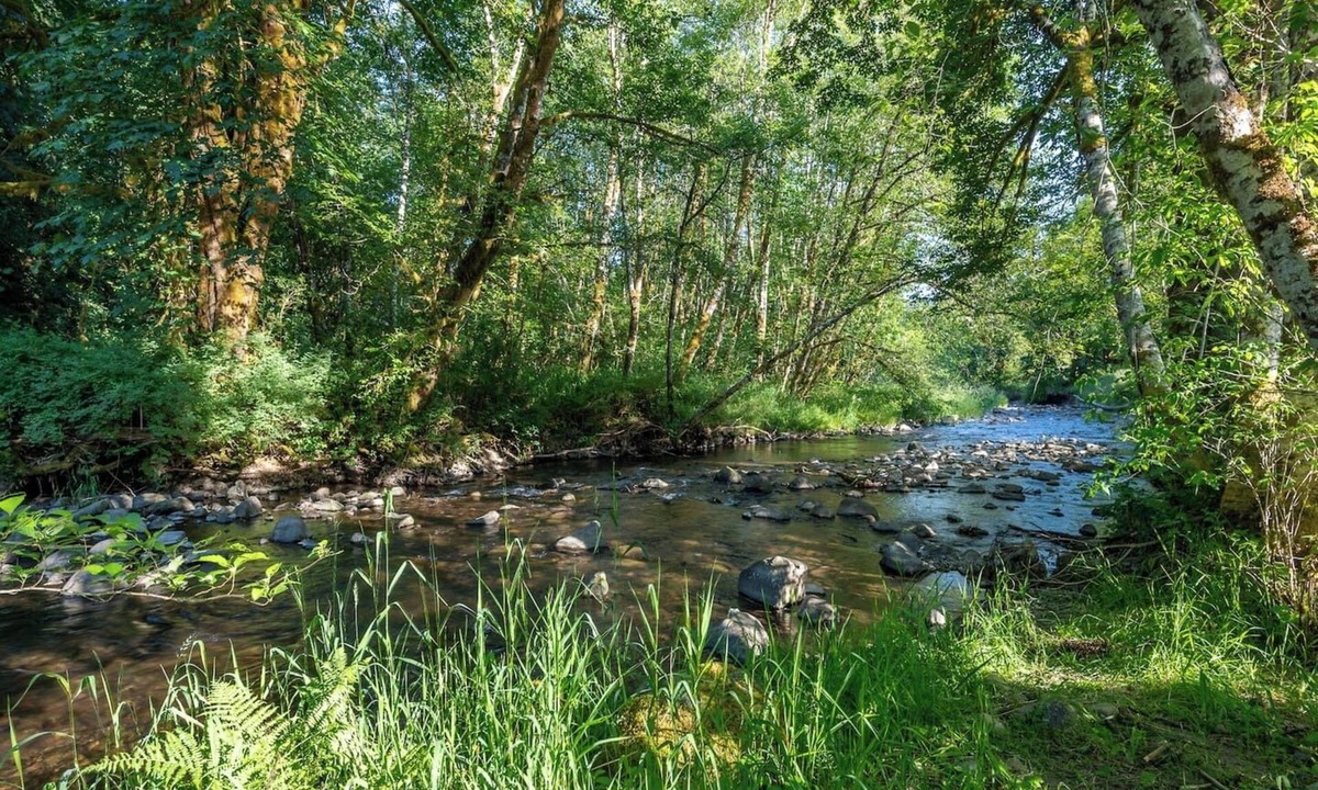 Longview House | Peace and Quiet ~ Unique Escape w/Sauna & BBQ