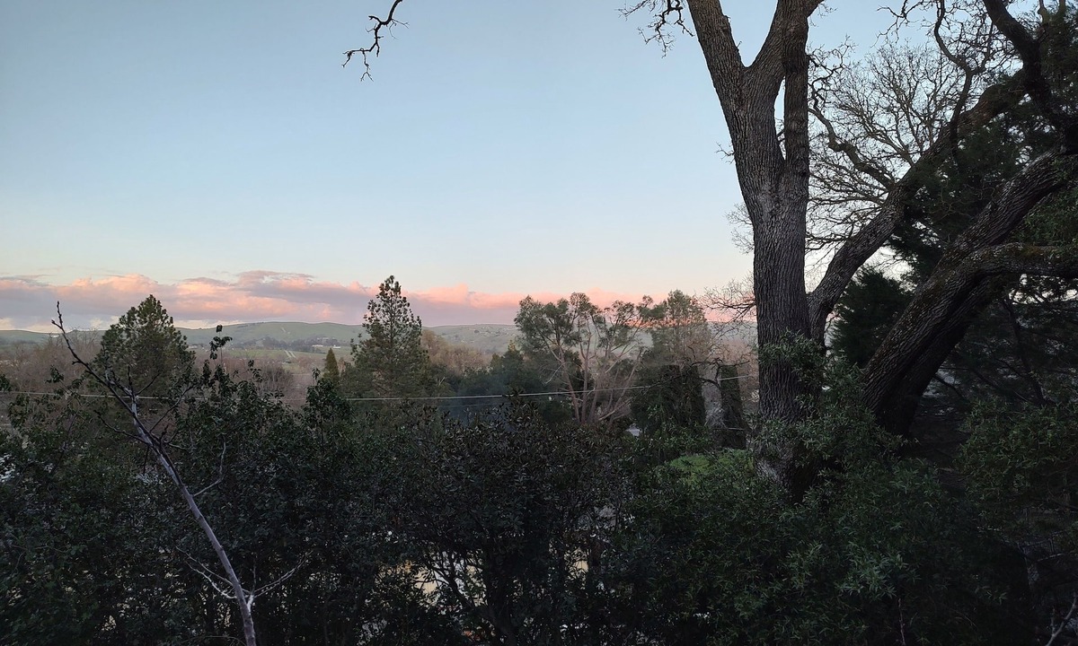 Atascadero Cabin | Peaceful retreat in the woods close to town