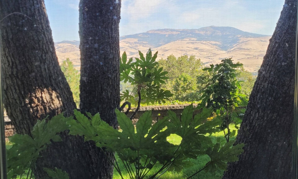 Ashland Apartment | Private and quiet luxury studio suite on three acres overlooking Ashland.