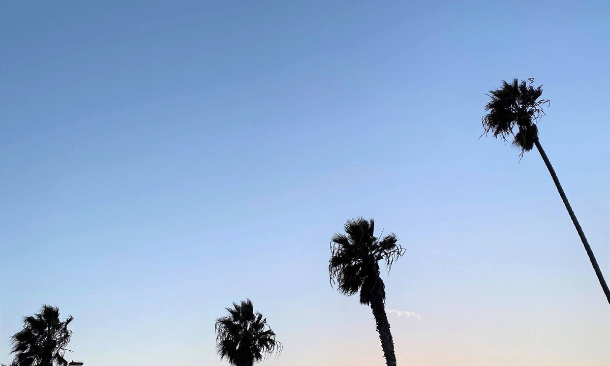 Ocean Beach Cottage | Private cottage in the heart of Ocean Beach