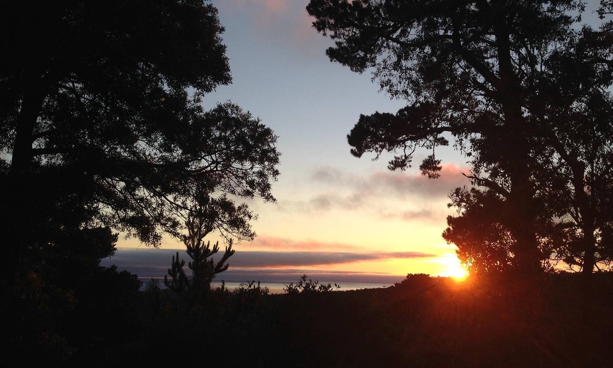 Carmel Woods Apartment | Private entrance, Dog Friendly, Monterey Peninsula