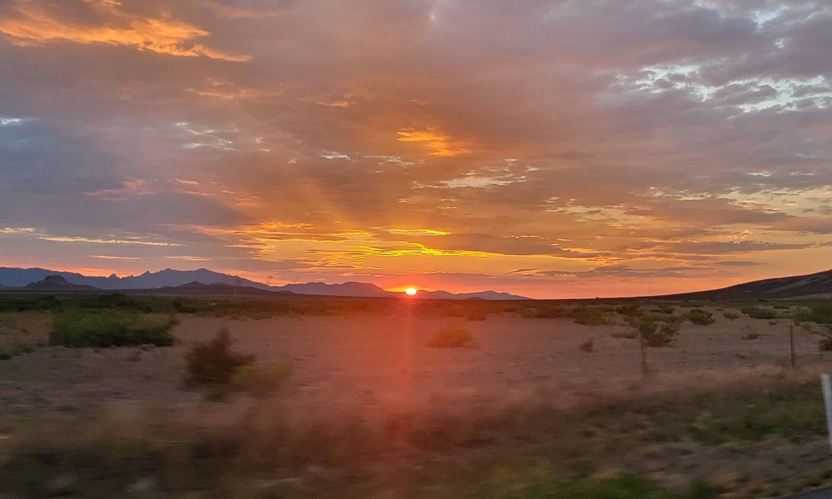 Pearce House | Quaint home in southern Arizona wine country. Pet Friendly!