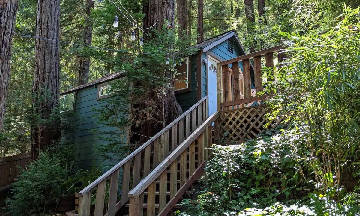 Rio Nido Cottage | Redwood Treehouse-2 beds 1.5 bath-full kitchen-2 outdoor areas-work station WiFi