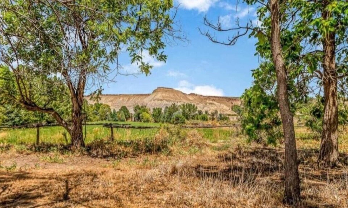 Palisade Cottage | Roost Cottage Lavender Farm Stay Wine Country