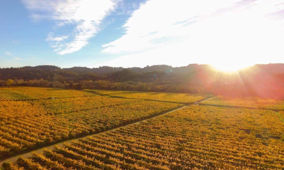 Healdsburg House | Santini Farmhouse - Wine Tastings Included
