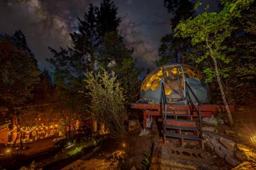 Bass Lake Other | Stargazing Dome with Forrest Cottage on Lakefront Property