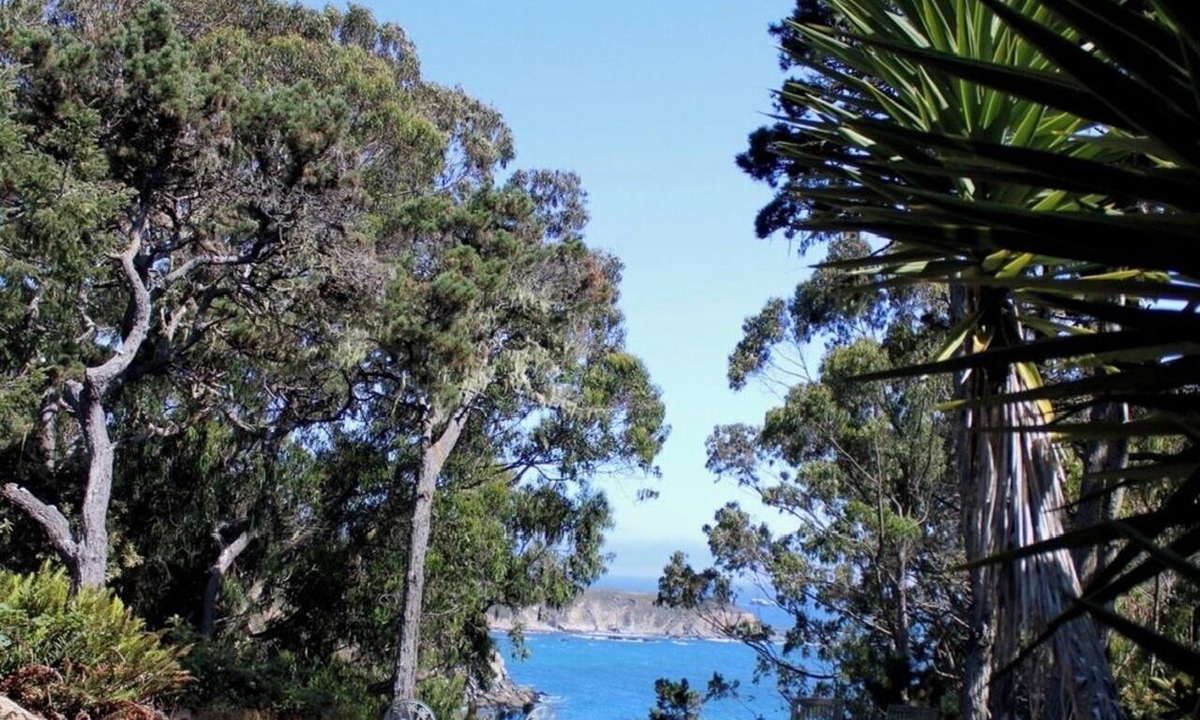 Timber Cove Apartment | The Pelican Retreat, a rustic apartment with scenic ocean views!