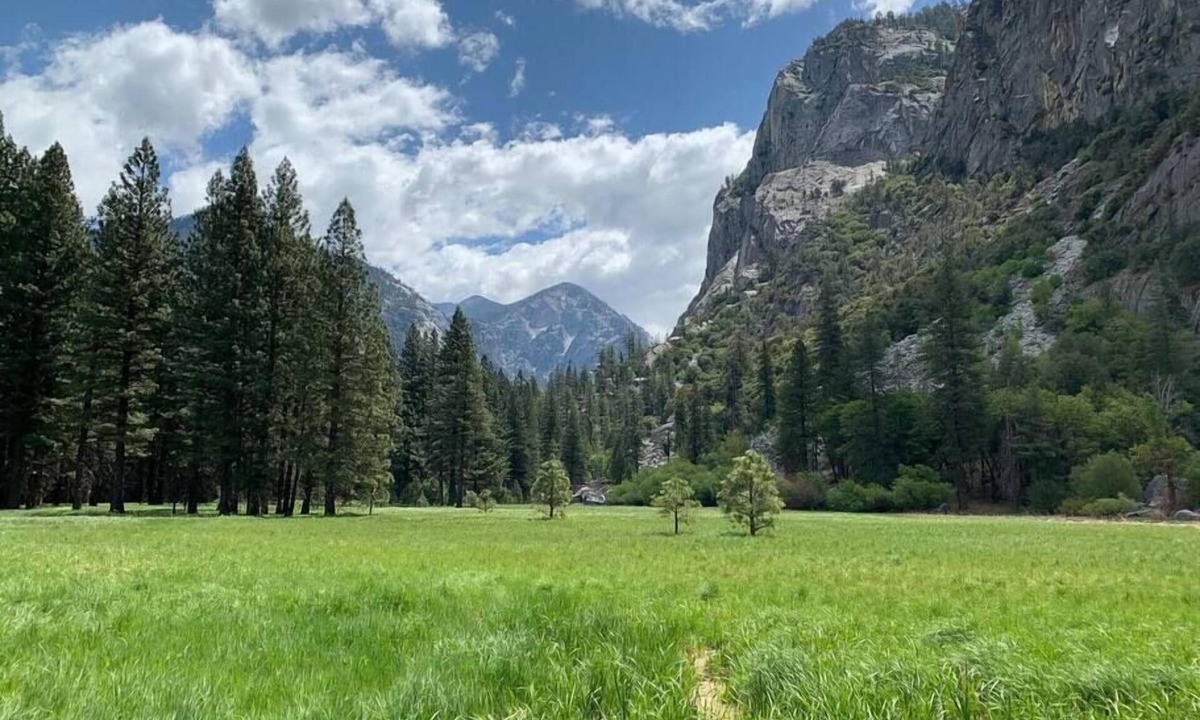 Squaw Valley House | Tiny Cottage for 2 near Kings Canyon National Park with EV Charging.