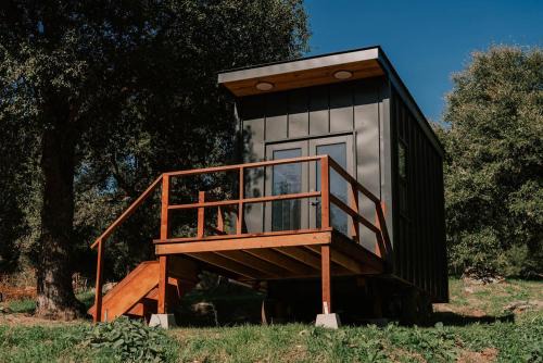 Pauma Valley Other | Tiny Home Above the Clouds Pacific Views