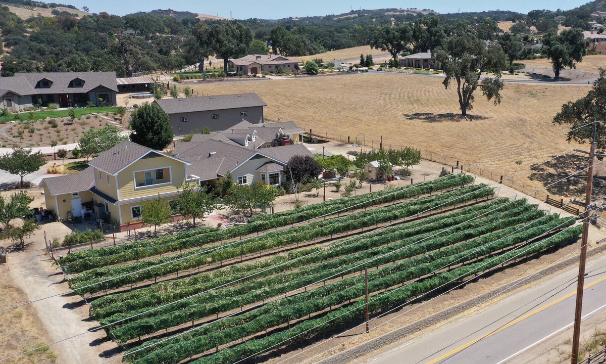 Paso Robles Apartment | Vineyard Guest House, Fabulous Views and Covered Parking