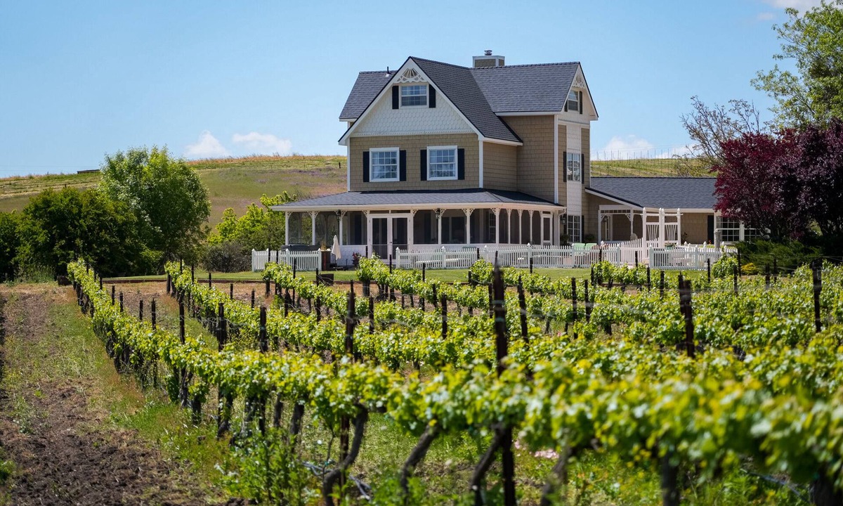 Templeton House | Vineyard Retreat in a Stunning Vineyard Setting and Views, Hot Tub, and More