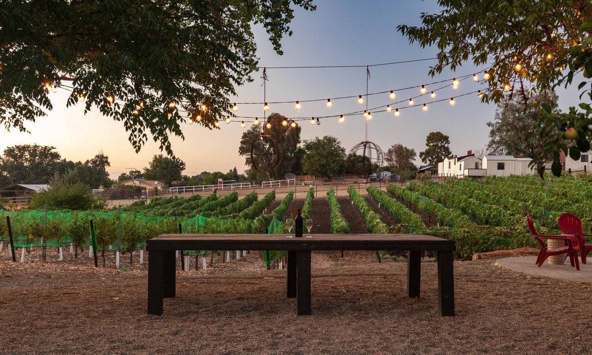 Paso Robles House | Vitara Vineyard, a Modern Farmhouse in the Heart of Wine Country