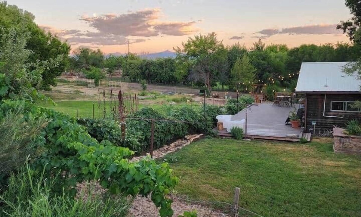 Nucla House | West End Oasis -Private, Peaceful Retreat in Nucla