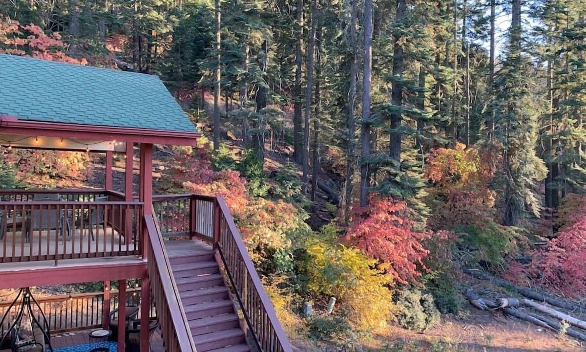 Yosemite West Apartment | YoBee! Heart of Yosemite. Cozy View Studio. Reservations + Free Breakfast ~U3