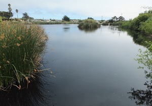 614 Airpark: 2 BR, 2 BA Condominium in Oceano, Sleeps 4
